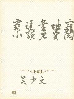 霸道爹地宠又撩小说免费阅读封面