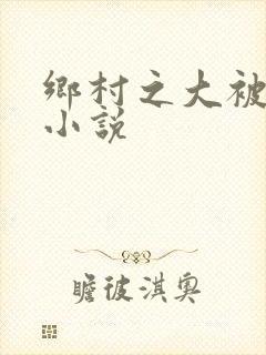 乡村之大被同眠小说