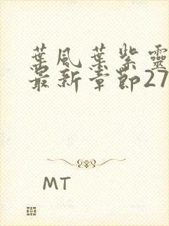 叶风叶紫灵小说最新章节2722