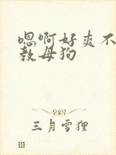 嗯啊好爽不要调教母狗