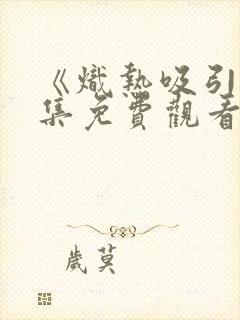 《炽热吸引》全集免费观看27集