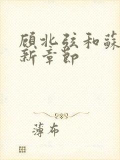 顾北弦和苏o最新章节