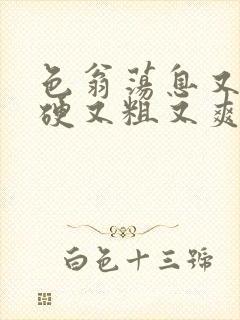 色翁荡息又大又硬又粗又爽电影