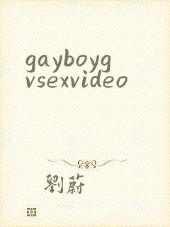 gayboygvsexvideo封面