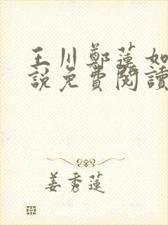 王川郑莲如的小说免费阅读全文