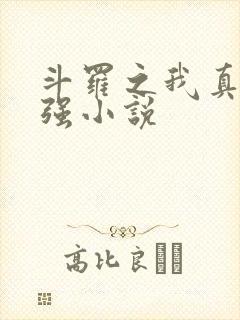 斗罗之我真的不强小说