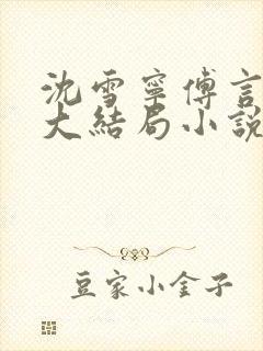 沈雪宁傅言后续大结局小说封面