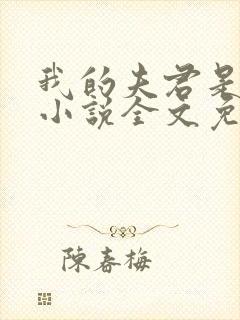 我的夫君是断袖小说全文免费阅读下载封面