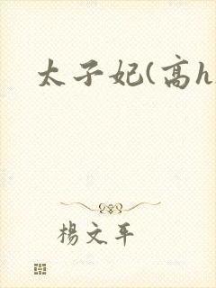 太子妃(高h)