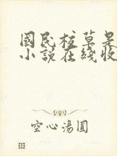 国民校草是女生小说在线收听