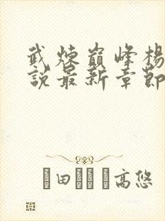 武炼巅峰杨开小说最新章节列表