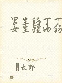 男生的丁丁插入女生体内的视频