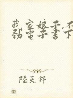 我家娘子,不对劲电子书下载