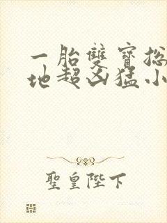 一胎双宝总裁爹地超凶猛小说txt全文下载
