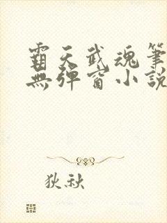 霸天武魂笔趣阁无弹窗小说