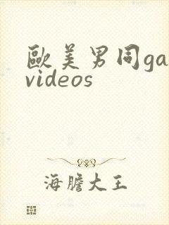 欧美男同gayvideos