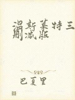 温斯莱特三级无删减版