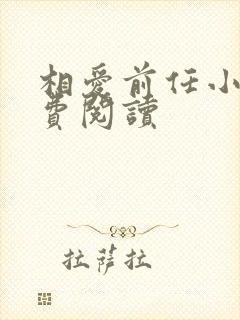 相爱前任小说免费阅读