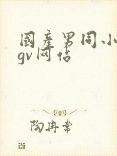 国产男同小鲜肉gv网站