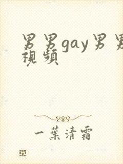 男男gay男男视频