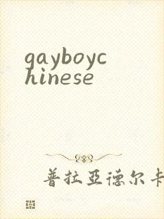 gayboychinese