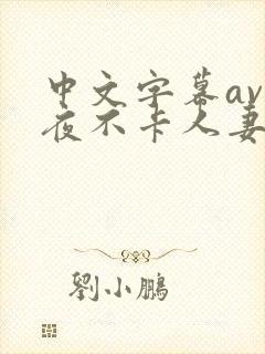 中文字幕av午夜不卡人妻系列