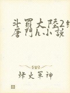 斗罗大陆2绝世唐门h小说