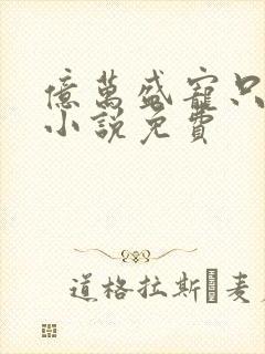 亿万盛宠只为你小说免费