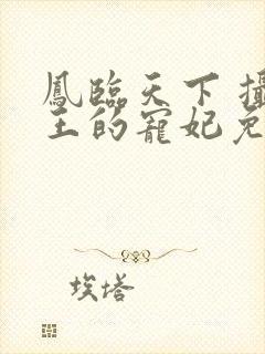 凤临天下 摄政王的宠妃免费阅读