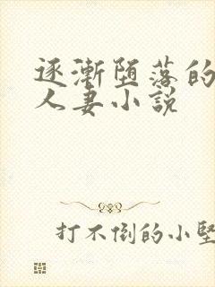 逐渐堕落的绝美人妻小说封面