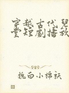 穿越古代儿孙满堂短剧播放