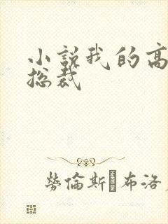 小说我的高冷女总裁