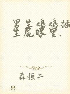 男生鸡鸡插进女生屁眼里.封面