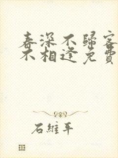 春深不归客清梦不相逢免费