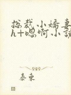 总裁小娇妻h+h+嗯啊小说