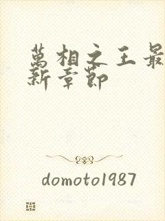 万相之王最快更新章节封面