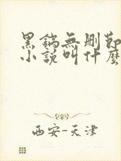 黑锅无删节原著小说叫什么