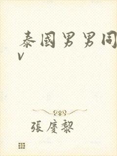 泰国男男同志av