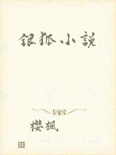 银狐小说