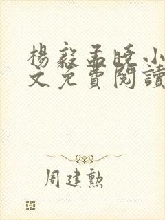 杨毅孟晓小说全文免费阅读封面