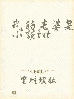 我的老婆是总裁小说txt