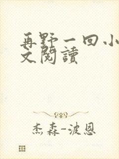 再野一回小说全文阅读