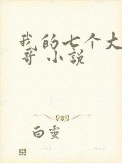 我的七个大佬哥哥 小说