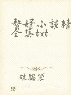 赘婿小说精校版全集txt