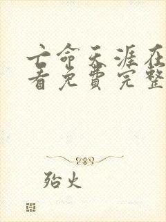 亡命天涯在线观看免费完整版电影