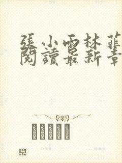 张小雨林菲免费阅读最新章节封面