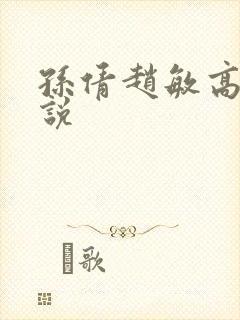 孙倩赵敏高义小说