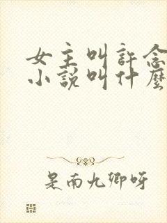 女主叫许念这本小说叫什么