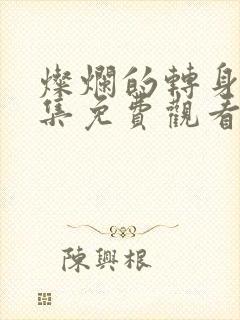 灿烂的转身40集免费观看高清