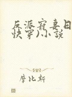 反派宠妻日常(快穿)小说